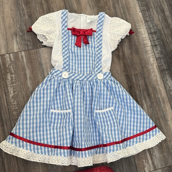 Dorthy Wizard of OZ dress & Vintage Ruby Slippers - Picture 8 of 13